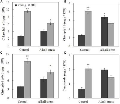 Comparison of Ionomic and Metabolites Response under Alkali Stress in Old and Young Leaves of Cotton (Gossypium hirsutum L.) Seedlings